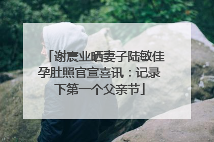 谢震业晒妻子陆敏佳孕肚照官宣喜讯：记录下第一个父亲节