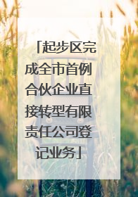 起步区完成全市首例合伙企业直接转型有限责任公司登记业务