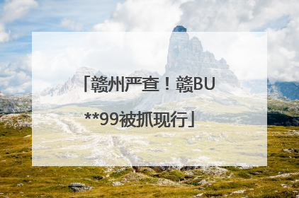 赣州严查！赣BU**99被抓现行