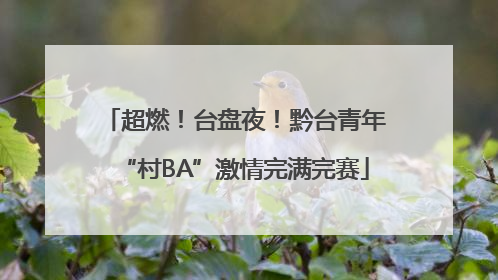 超燃！台盘夜！黔台青年“村BA”激情完满完赛