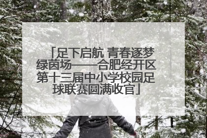 足下启航 青春逐梦绿茵场——合肥经开区第十三届中小学校园足球联赛圆满收官