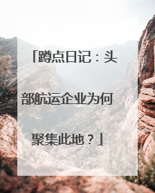 蹲点日记：头部航运企业为何聚集此地？