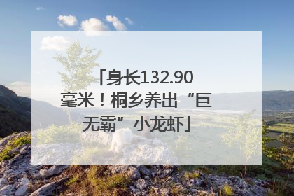 身长132.90毫米！桐乡养出“巨无霸”小龙虾