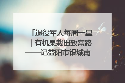 退役军人每周一星｜有机果栽出致富路——记益阳市银城南湖蔬果农民专业合作社总经理晏桂明