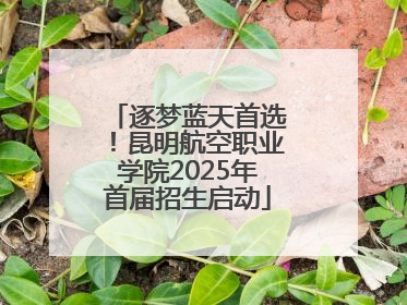 逐梦蓝天首选！昆明航空职业学院2025年首届招生启动