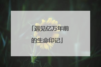 遇见亿万年前的生命印记