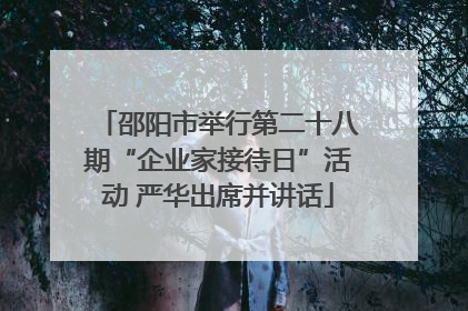 邵阳市举行第二十八期“企业家接待日”活动 严华出席并讲话