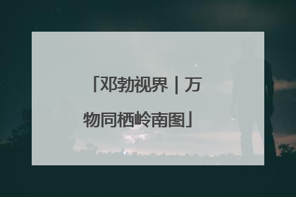 邓勃视界｜万物同栖岭南图