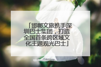 邯郸文旅携手深圳巴士集团，打造全国首条跨区域文化主题观光巴士