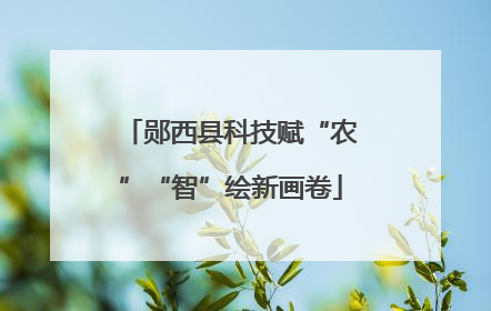 郧西县科技赋“农”“智”绘新画卷