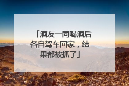 酒友一同喝酒后各自驾车回家，结果都被抓了