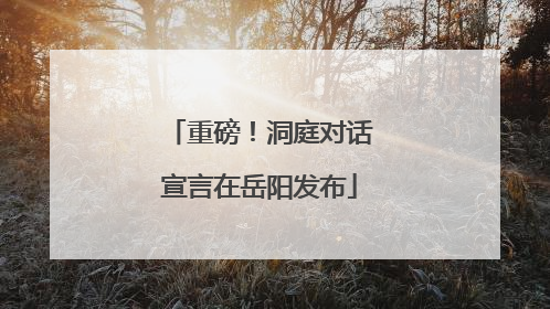 重磅！洞庭对话宣言在岳阳发布