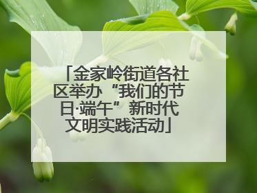 金家岭街道各社区举办“我们的节日·端午”新时代文明实践活动
