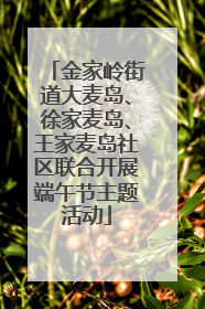 金家岭街道大麦岛、徐家麦岛、王家麦岛社区联合开展端午节主题活动