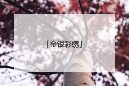 金银彩绣