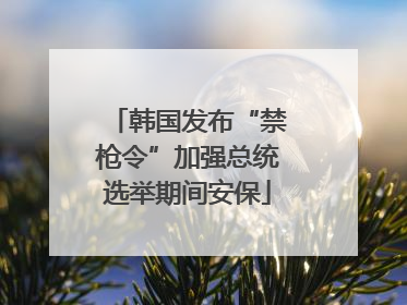 韩国发布“禁枪令”加强总统选举期间安保
