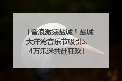 音浪激荡盐城！盐城大洋湾音乐节吸引5.4万乐迷共赴狂欢