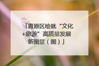 青原区绘就“文化+旅游”高质量发展新图景（图）