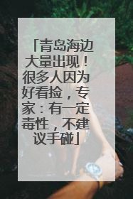 青岛海边大量出现！很多人因为好看捡，专家：有一定毒性，不建议手碰