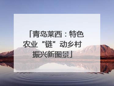 青岛莱西：特色农业“链”动乡村振兴新图景