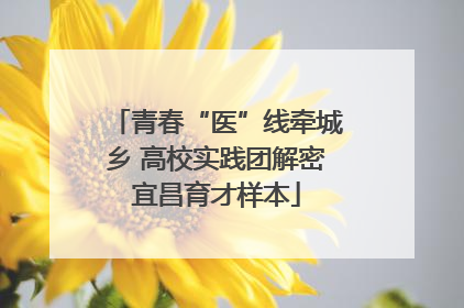 青春“医”线牵城乡 高校实践团解密宜昌育才样本