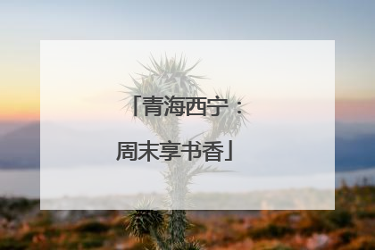 青海西宁：周末享书香