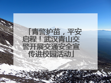 青警护苗，平安启程！武汉青山交警开展交通安全宣传进校园活动