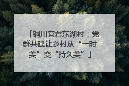 铜川宜君东湖村：党群共建让乡村从“一时美”变“持久美”