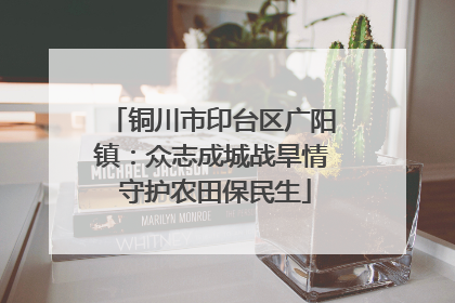 铜川市印台区广阳镇：众志成城战旱情 守护农田保民生