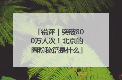 锐评｜突破800万人次！北京的圈粉秘籍是什么