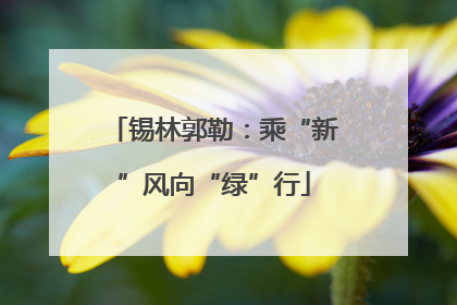 锡林郭勒：乘“新”风向“绿”行