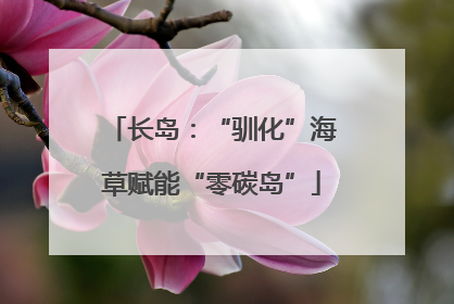 长岛：“驯化”海草赋能“零碳岛”