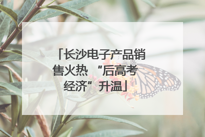 长沙电子产品销售火热 “后高考经济”升温