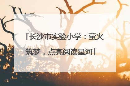 长沙市实验小学：萤火筑梦，点亮阅读星河