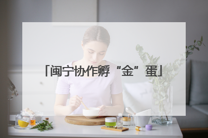 闽宁协作孵“金”蛋