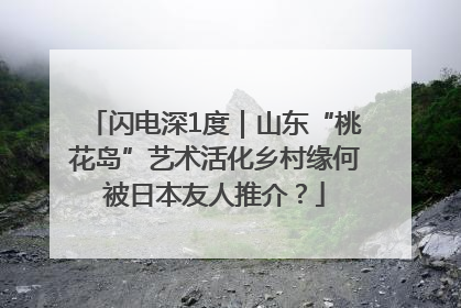 闪电深1度｜山东“桃花岛”艺术活化乡村缘何被日本友人推介？
