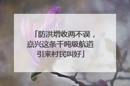 防洪增收两不误，嘉兴这条千吨级航道引来村民叫好