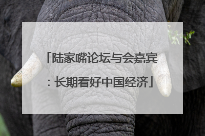 陆家嘴论坛与会嘉宾：长期看好中国经济