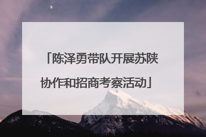 陈泽勇带队开展苏陕协作和招商考察活动