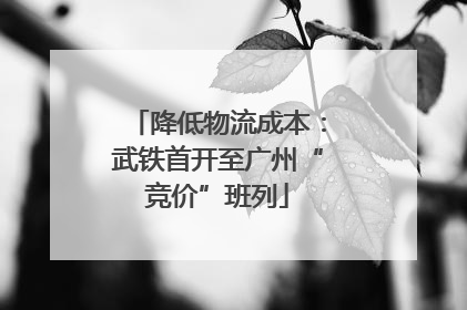 降低物流成本：武铁首开至广州“竞价”班列