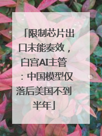 限制芯片出口未能奏效，白宫AI主管：中国模型仅落后美国不到半年