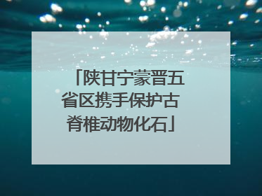 陕甘宁蒙晋五省区携手保护古脊椎动物化石