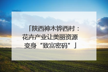 陕西神木铧西村：花卉产业让美丽资源变身“致富密码”