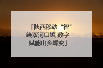 陕西移动“智”绘双河口镇 数字赋能山乡蝶变