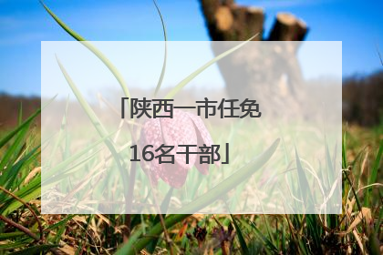 陕西一市任免16名干部