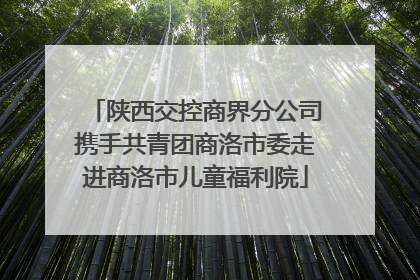 陕西交控商界分公司携手共青团商洛市委走进商洛市儿童福利院
