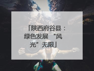 陕西府谷县：绿色发展 “风光”无限