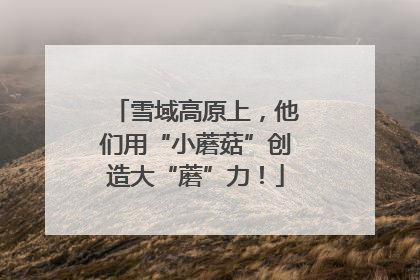 雪域高原上，他们用“小蘑菇”创造大“蘑”力！