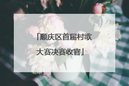 顺庆区首届村歌大赛决赛收官