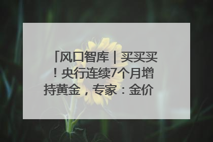 风口智库｜买买买！央行连续7个月增持黄金，专家：金价或仍易涨难跌